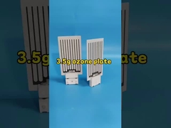 CE 세라믹 오존 판 5g/Hr 공기 정화기용