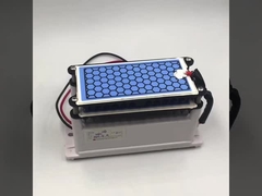 제조사 CE 인증 새로운 오존 발전기 10g 이중 세라믹 판 장수 오존 부품