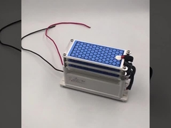 오존 살균 기계에 대한 AC 220V 15g/hr 세라믹 오존 판